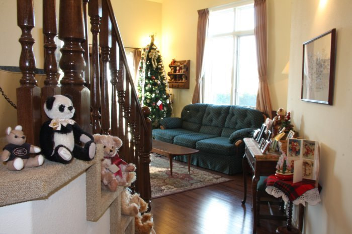 北側の窓からは明るい光が射し込みます。