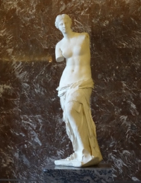 78.jpg